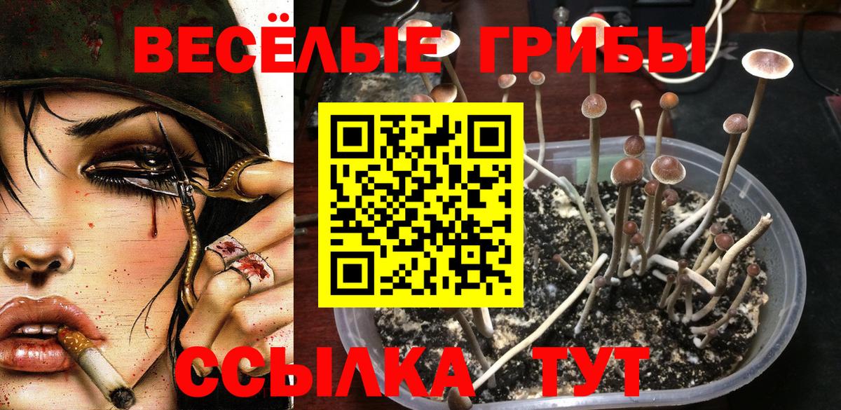 Псилоцибиновые грибы прущие грибы  Вход с VPN  Южно-Сахалинск  Галлюциногенные грибы мицелий 